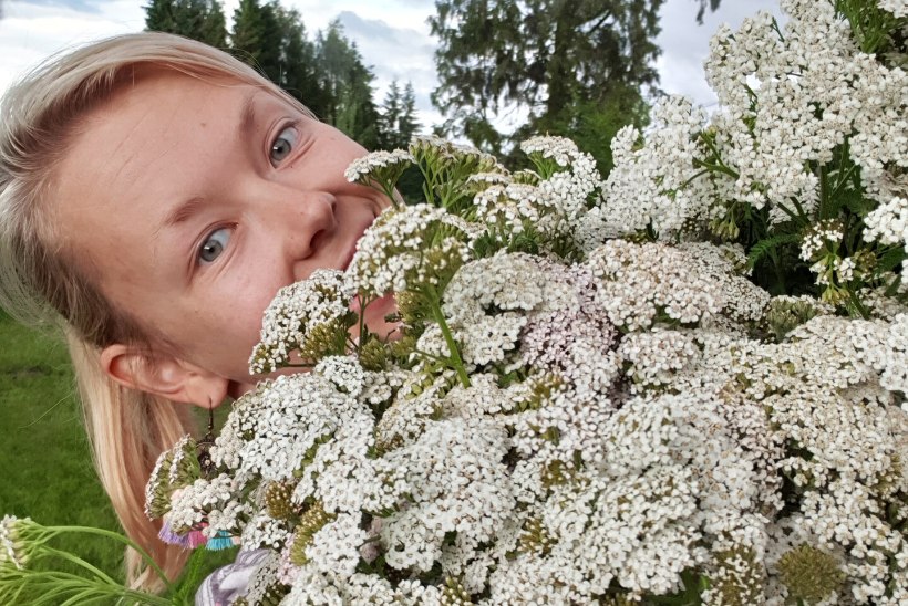 TAIMETARK ANNAB NÕU | 7 soovitust, kuidas ravimtaimede väe abil grillihooajal kõht korras hoida 
