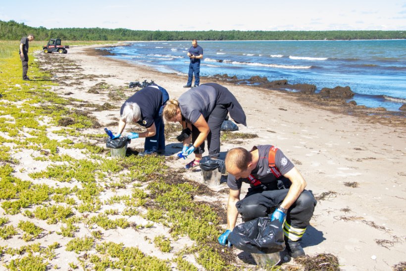 GALERII | Hiiumaa ja Saaremaa rannikult leitud kleepuv reostus osutus rasvaks