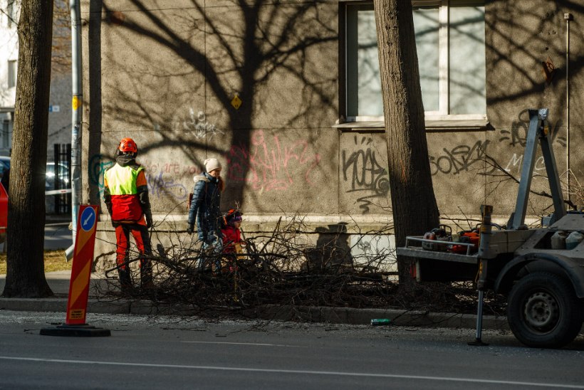 Tallinnas lähevad Jõe ja Pronksi tänav sügisest enam kui aastaks remonti