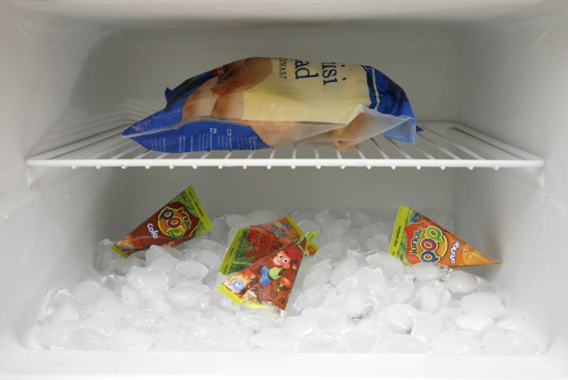 SÄÄSTUNIPP | Sulata külmkappi – ka see aitab raha kokku hoida!