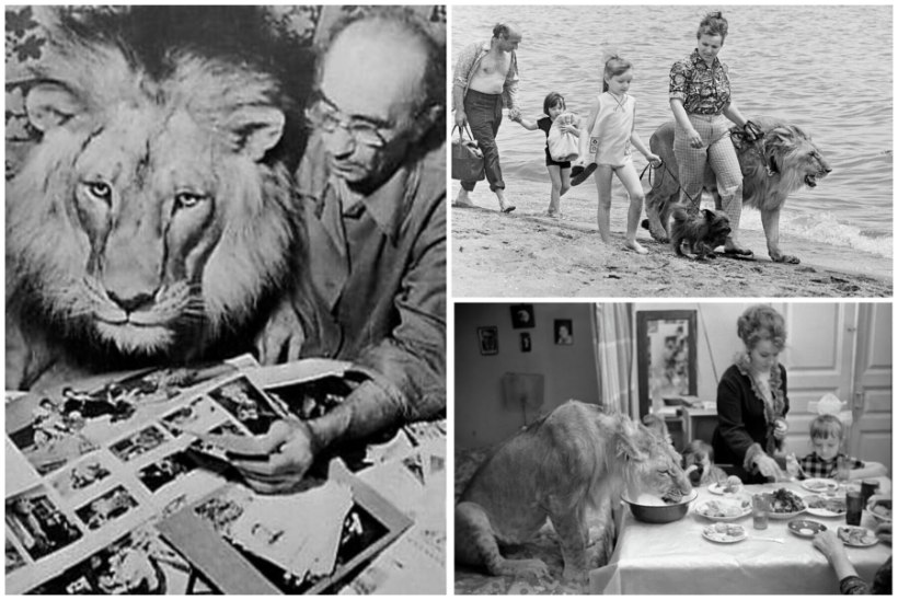 „Ma ei suuda endale andestada.“ Nõukogude perekonna otsus koduseinte vahel lõvisid kasvatada lõppes südantlõhestava tragöödiaga