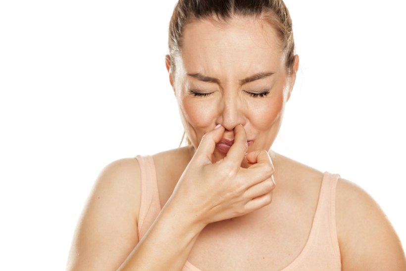 ÜLLATAV AVASTUS: kas nina nokkimine võib lõppeda Alzheimeriga?