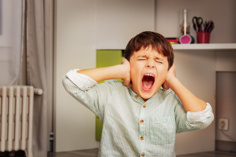Mida teha, kui laps ei kuula sõna, jonnib ja vaidleb? Psühhiaater: pole olemas lihtsalt oma lõbuks halvasti käituvat last