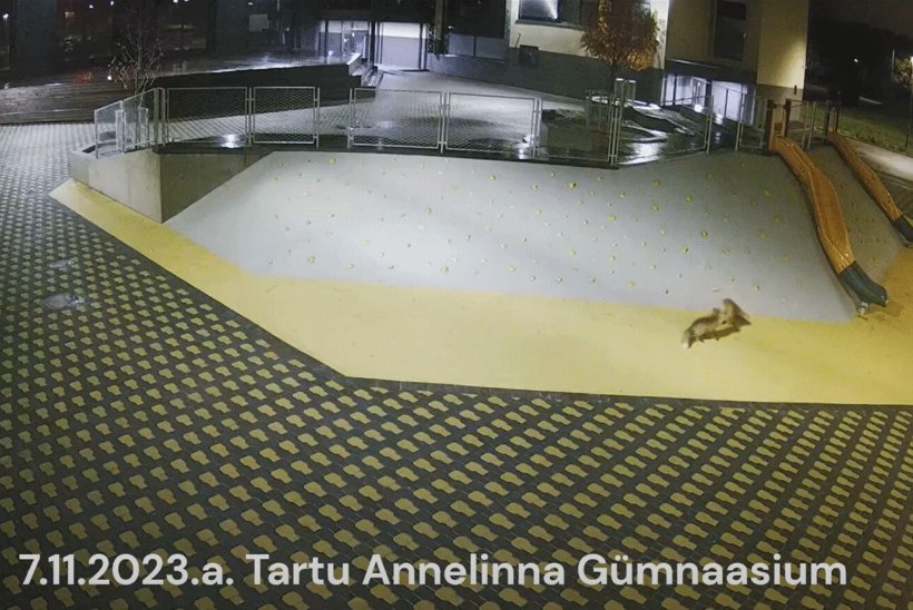 VIDEO | Tartu Annelinna Gümnaasiumi koolihoovi sattusid lustlikud tegelased