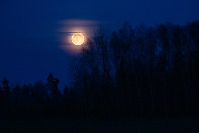 PÄEVAHOROSKOOP: neljapäev, 23. november