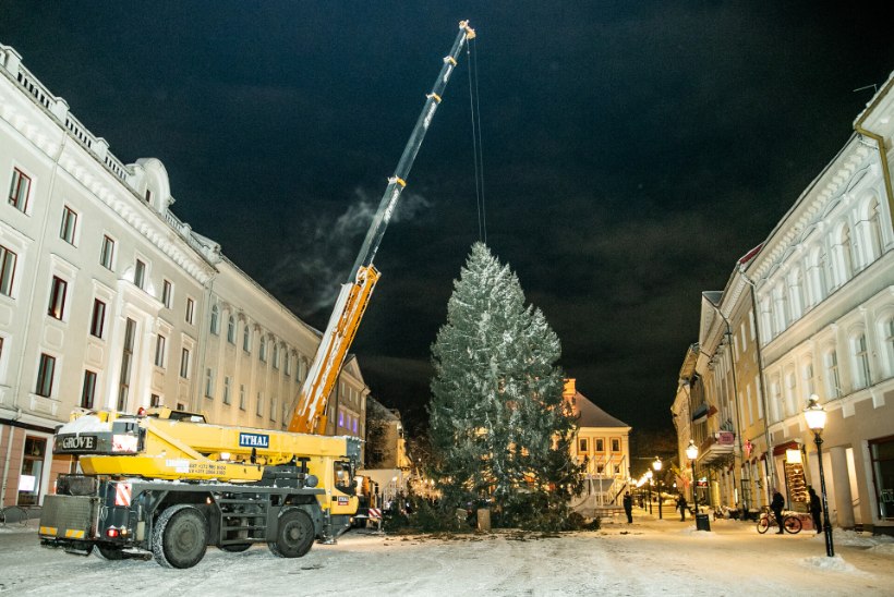 GALERII | KAUA TOODUD KAUNIKENE! Tartu Raekoja platsi ehib uhke kuusk