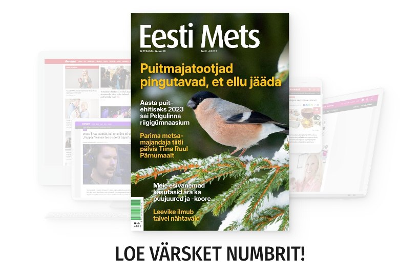 Ajakirjas Eesti Mets: kuidas läheb Eesti puitmajatootjail?