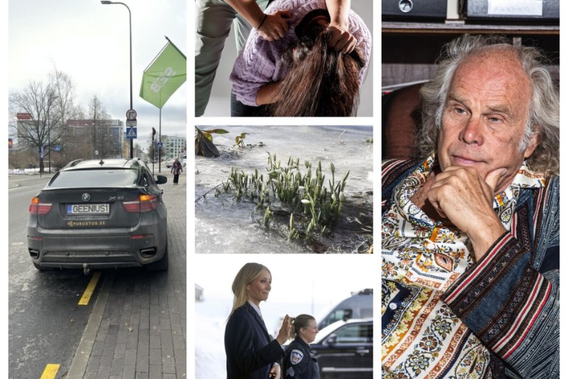 NÄDALA TOP | GEENIUSED MEIE SEAS: kahtlane parkimiskultuur, Lille kodu juhtum, Mustoneni passioon Venemaal, põgenev kevad ja Paltrow' kiusamine