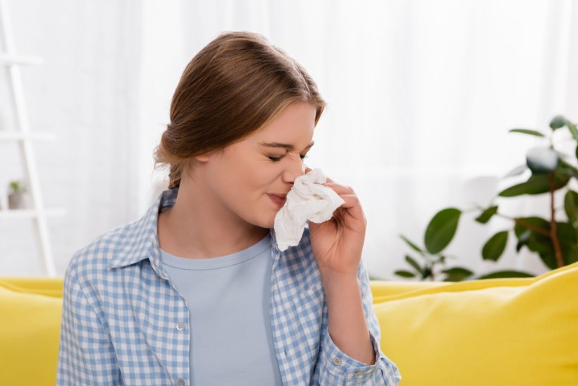 AEVASTAMINE JA IMELIK LÖÖVE? Allergia võib avalduda igas vanuses
