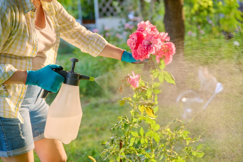 TIIU TESTIB | Roheline seep on vajalik nii aias kui ka majapidamises