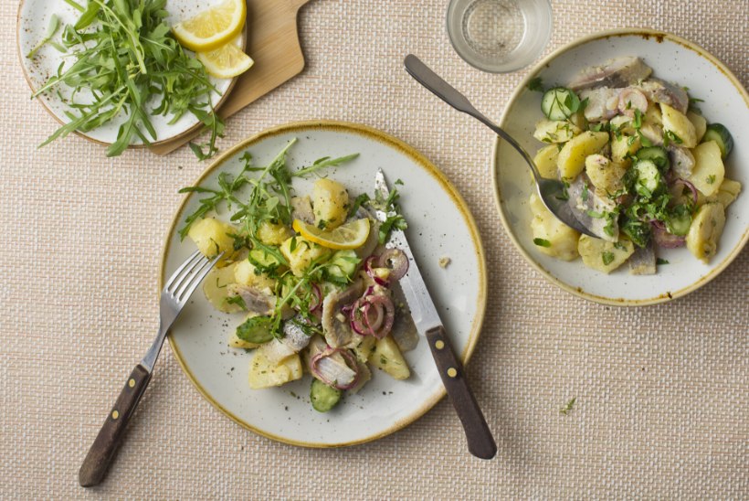 LIHTNE GURMEE | Heeringa ja kartuli salat Prantsuse moodi  