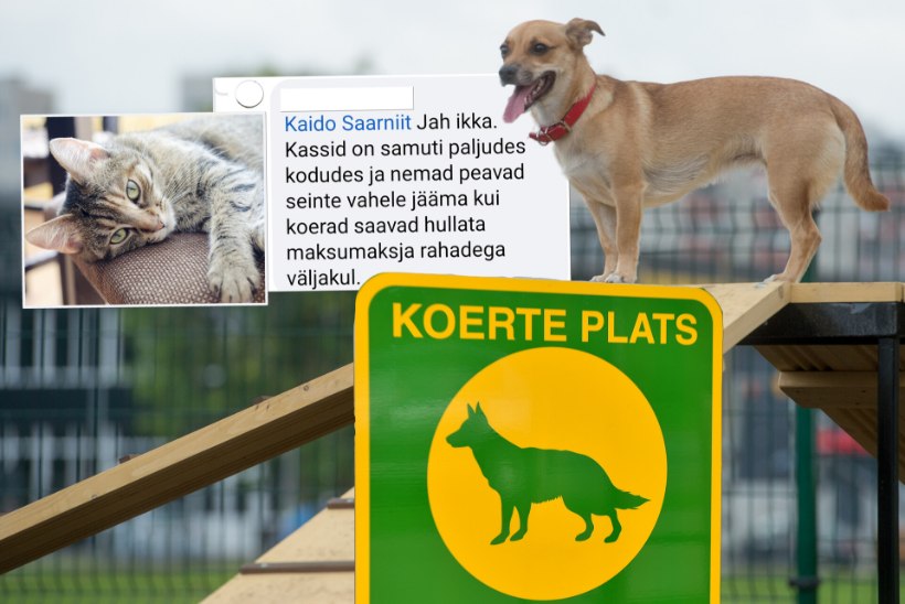 KOHUTAV EBAÕIGLUS PEAB LÕPPEMA! Miks koerad hullavad maksumaksja raha eest mänguväljakul, aga kassid istugu kodus?