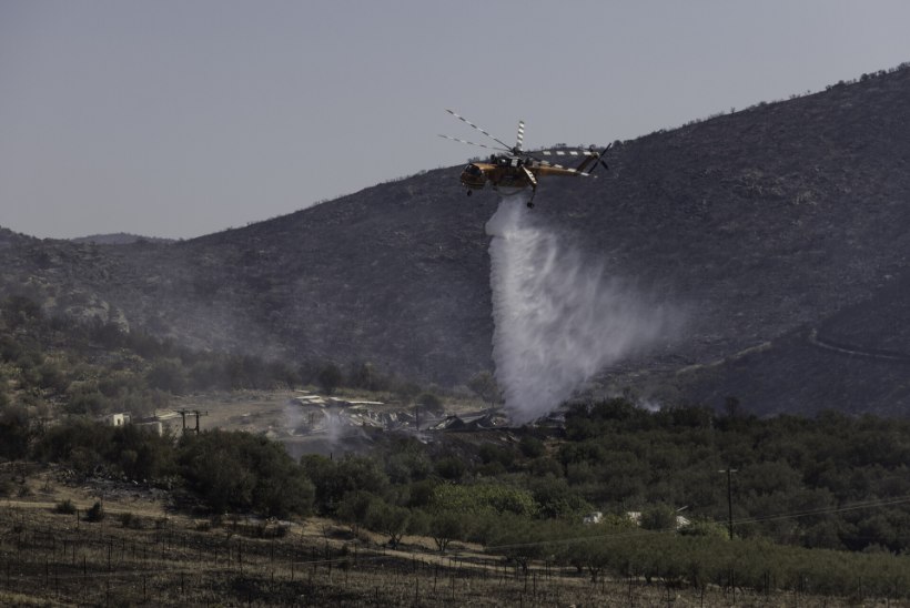 POLEGI KLIIMAMUUTUSE SÜÜ? Kreeka ametivõimud: tulekahjude taga on inimkäsi