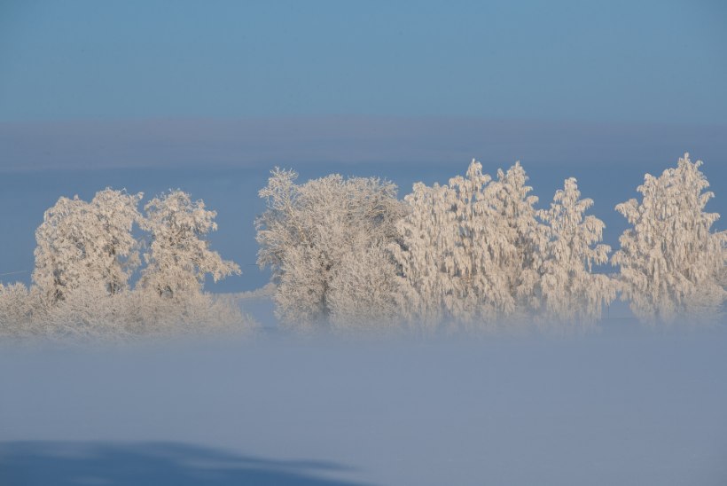 Soome ilmateenistus hoiatab: ilm muutub südaööst alates ohtlikuks!