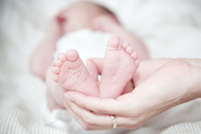EDUKAS AASTA! Möödunud aastal registreeriti üle 10 000 sünni