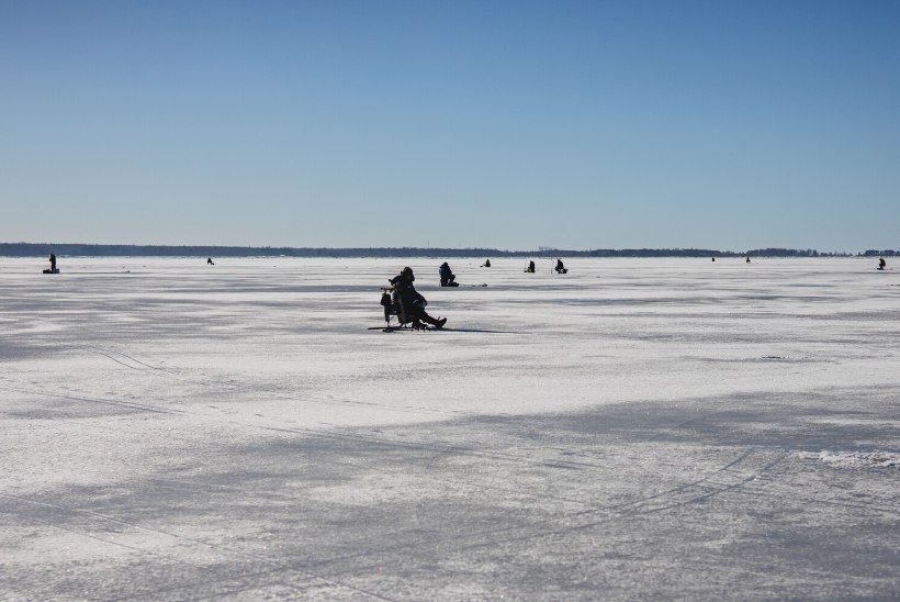 Kalapüügist Pärnu lahel: ilusti saavad kala ikka need, kes suudavad suurest massist eralduda