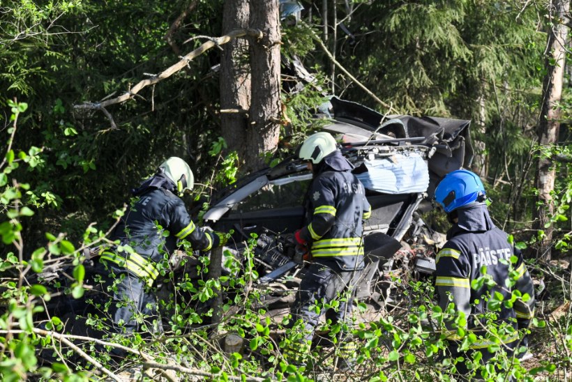 FOTOD | Viljandimaal hukkus autoga vastu puud sõitnud 22aastane mees