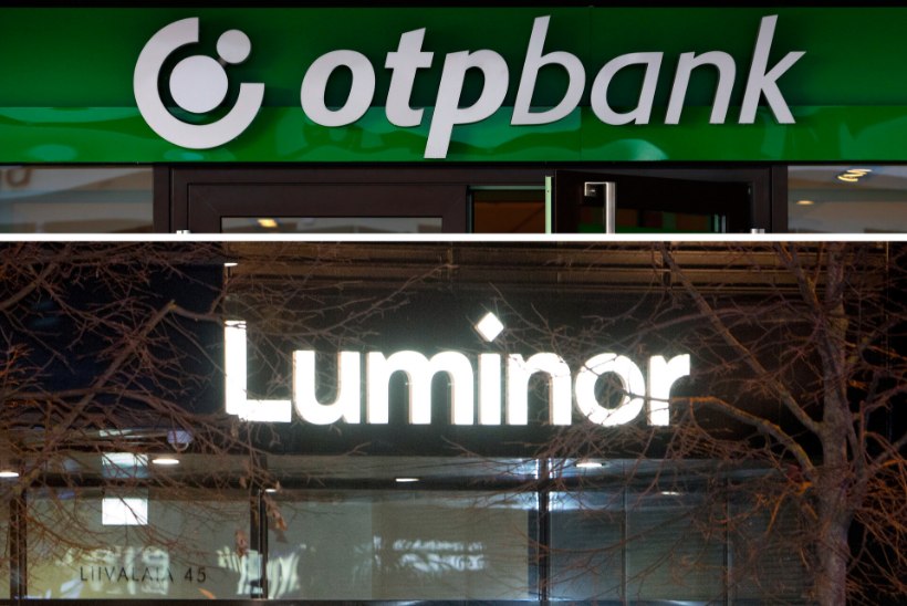 KUULUJUTT: Ungari pank soovib Luminori ära osta
