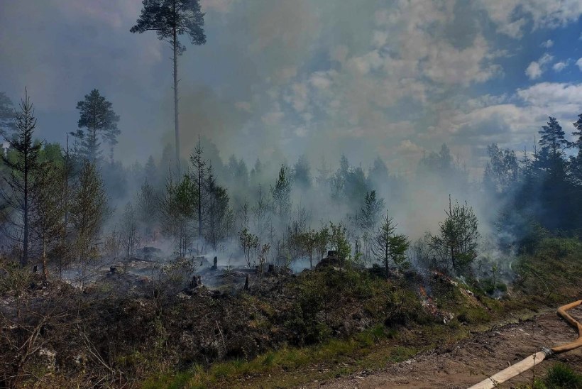 Ida-Virumaal Toila vallas põleb mets
