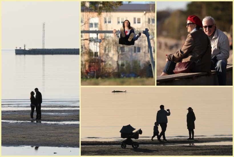 GALERII | Imeliselt soe kevadilm meelitas Tallinnas randa ja tänavatele palju rahvast
