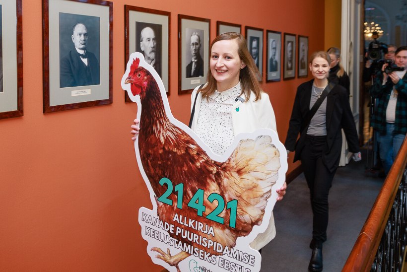 INIMESED ON VALMIS, TOOTJAD MITTE | Kristina Mering: jaekettidel ei jää muud üle, kui  tellida puurivabade kanade munad lähiriikidest
