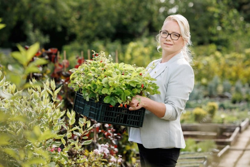 STAARI KÖÖGIANKEET | Kerli Dello: „Võin olla see, kes unustab külalisele isegi kohvi pakkuda.“