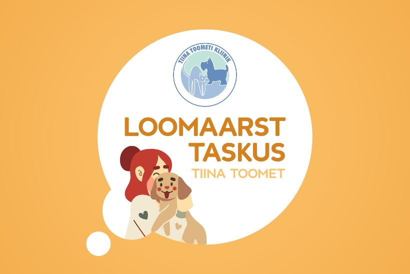 „LOOMAARST TASKUS“ | Agility pakub lusti omanikule ja koerale