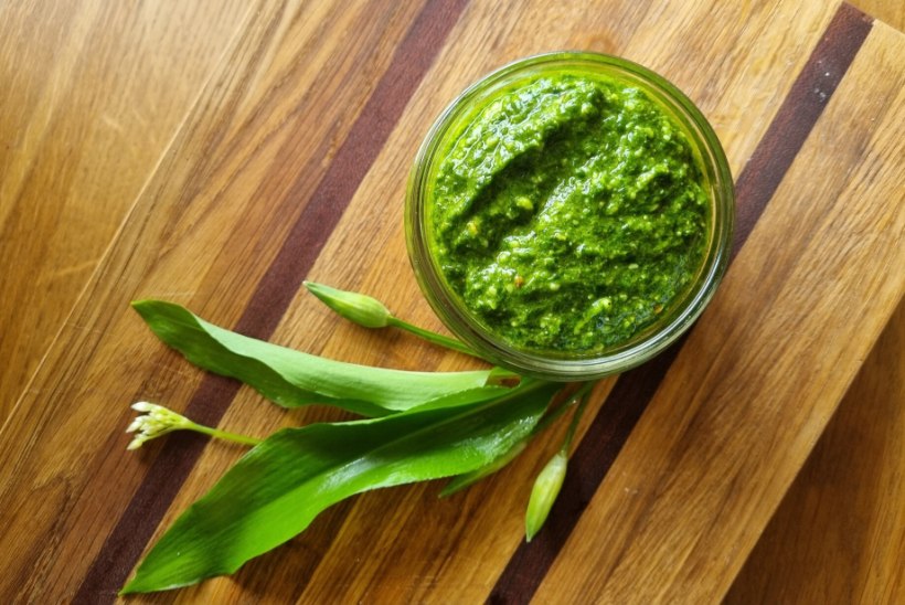 TAIMNE PÄEVARETSEPT  Karulaugu-basiiliku pesto