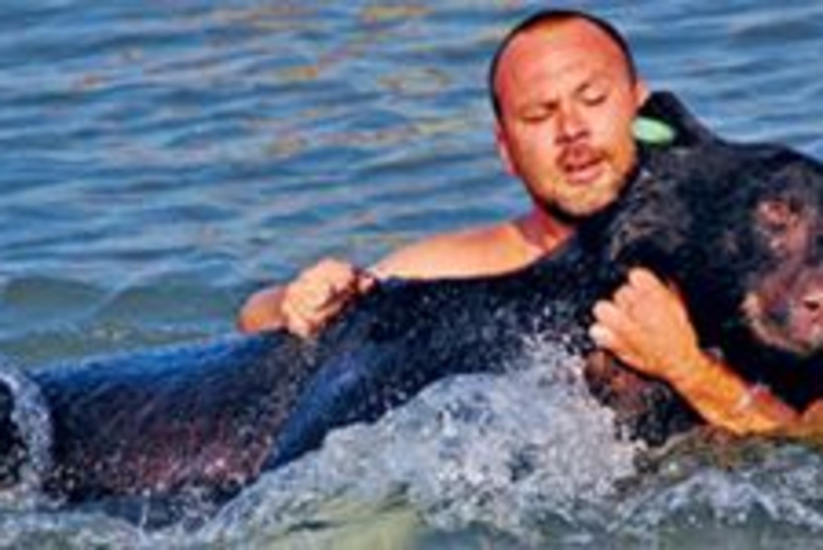 Mees päästis 175kilose karu uppumissurmast