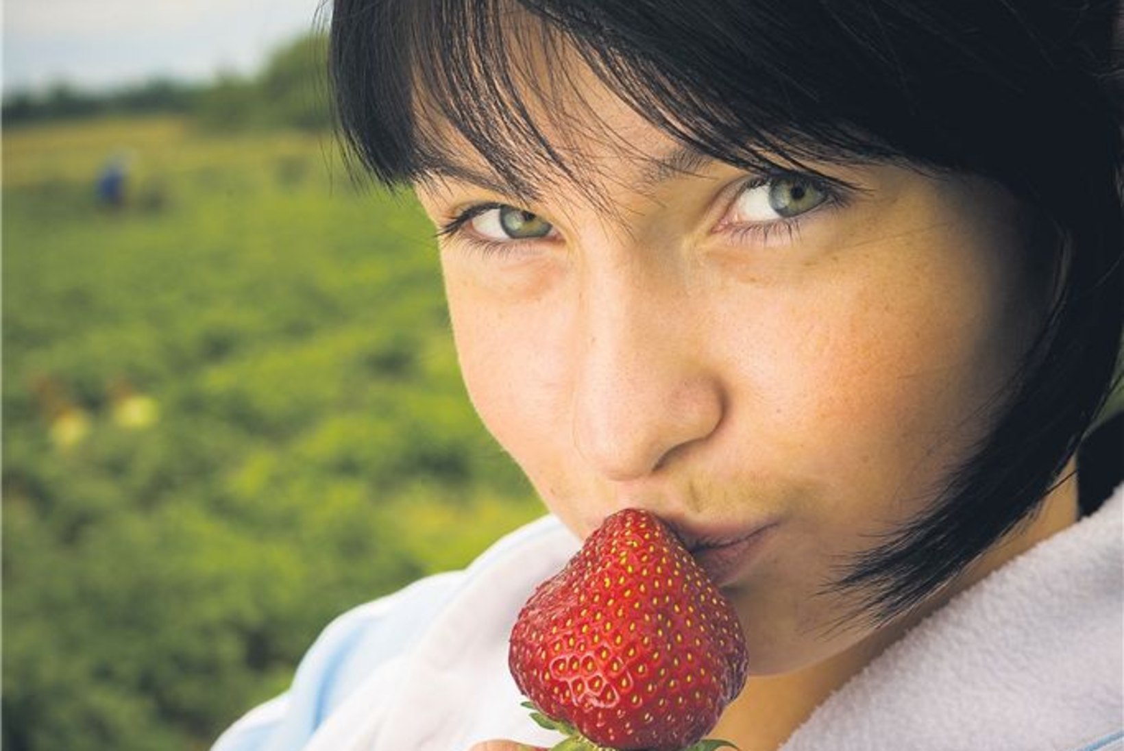 Kükktants maasikavagude vahel