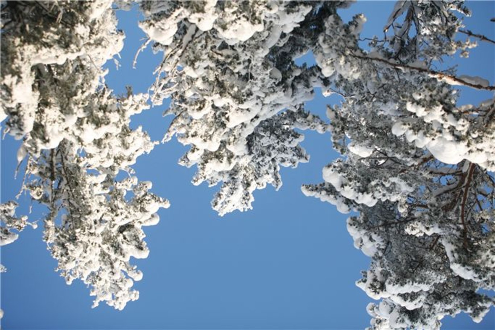 GALERII: talvemood Eestis