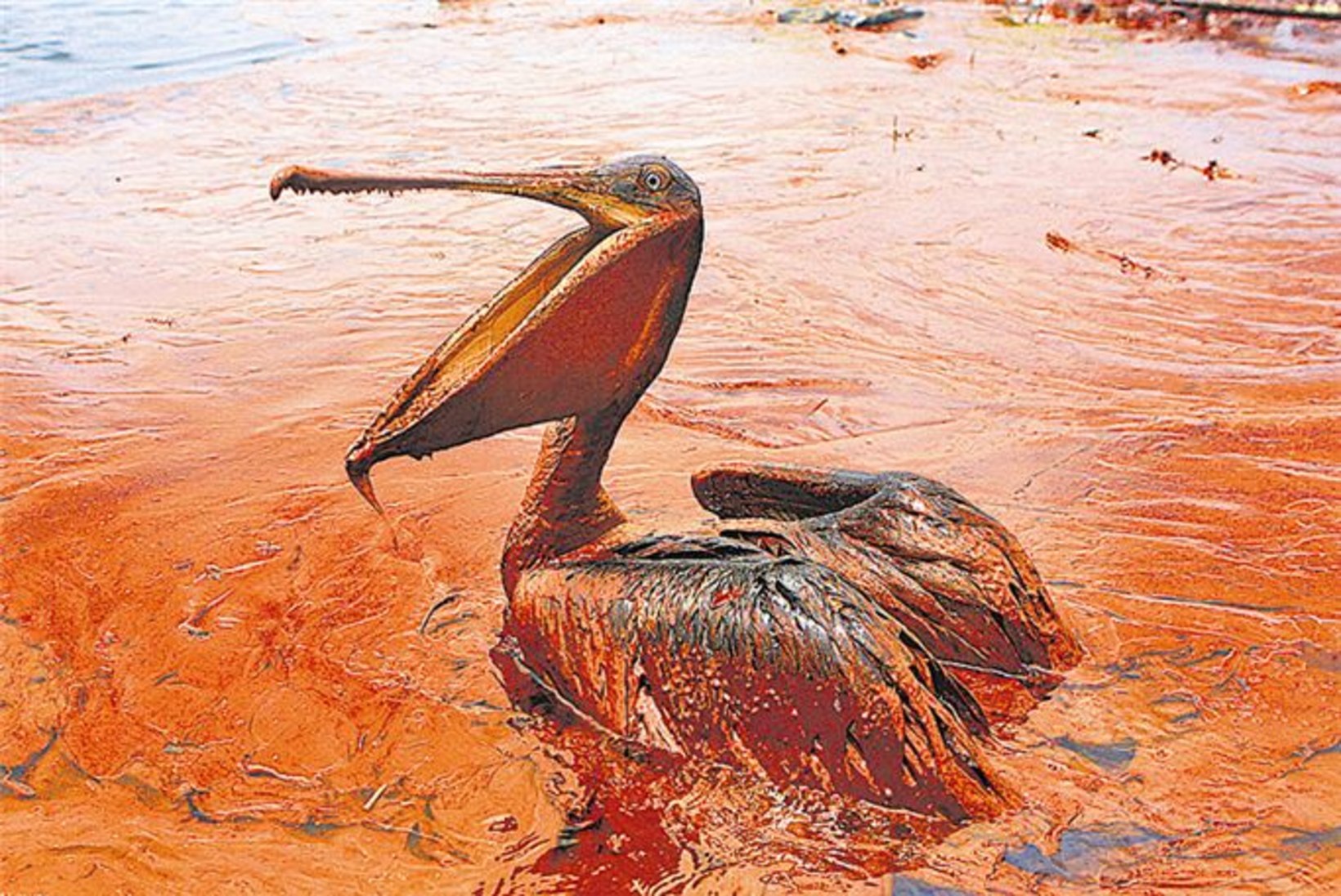 Naftakatastroof Mehhiko lahel