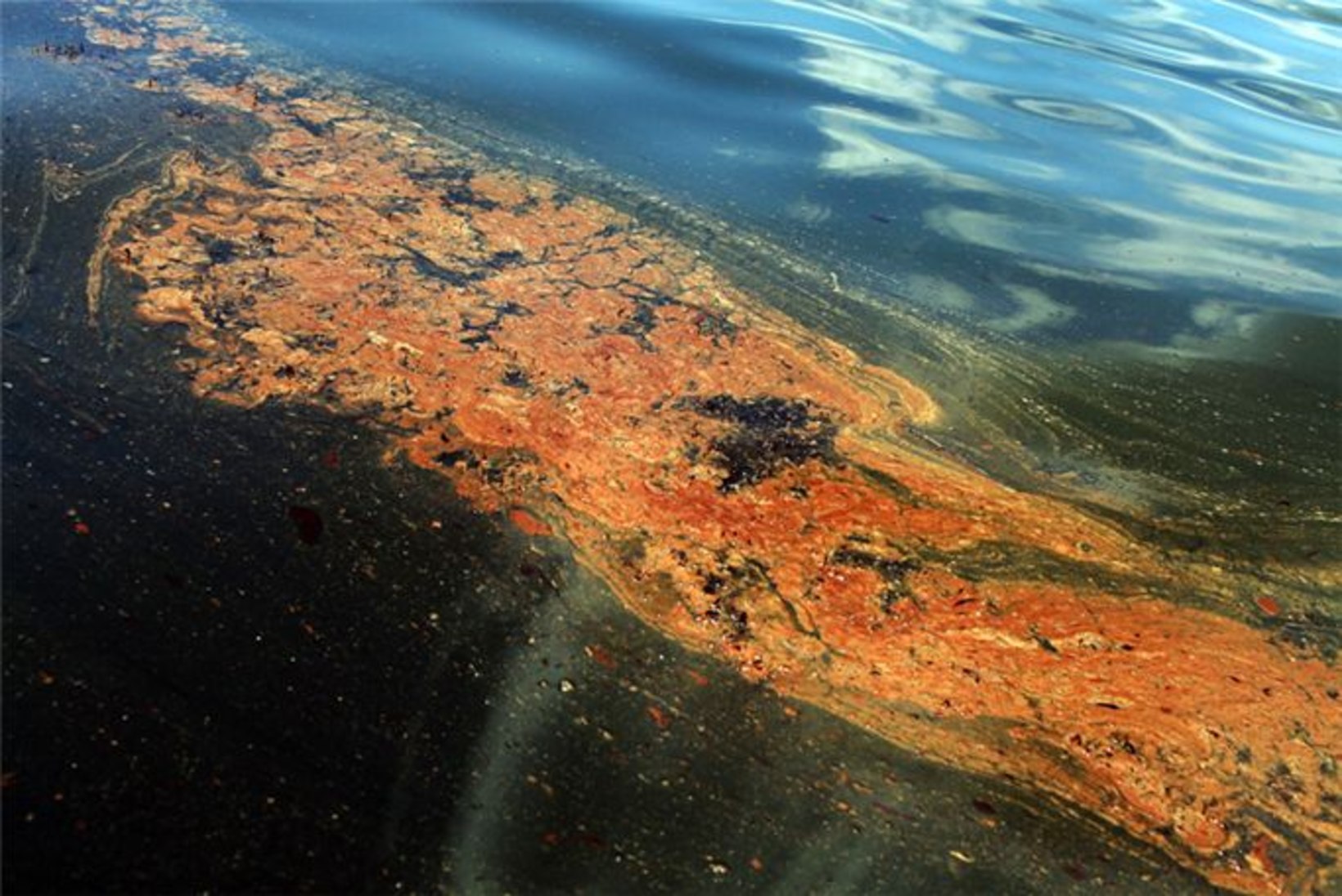 PILDID: olukord naftasaastatud Mehhiko lahes