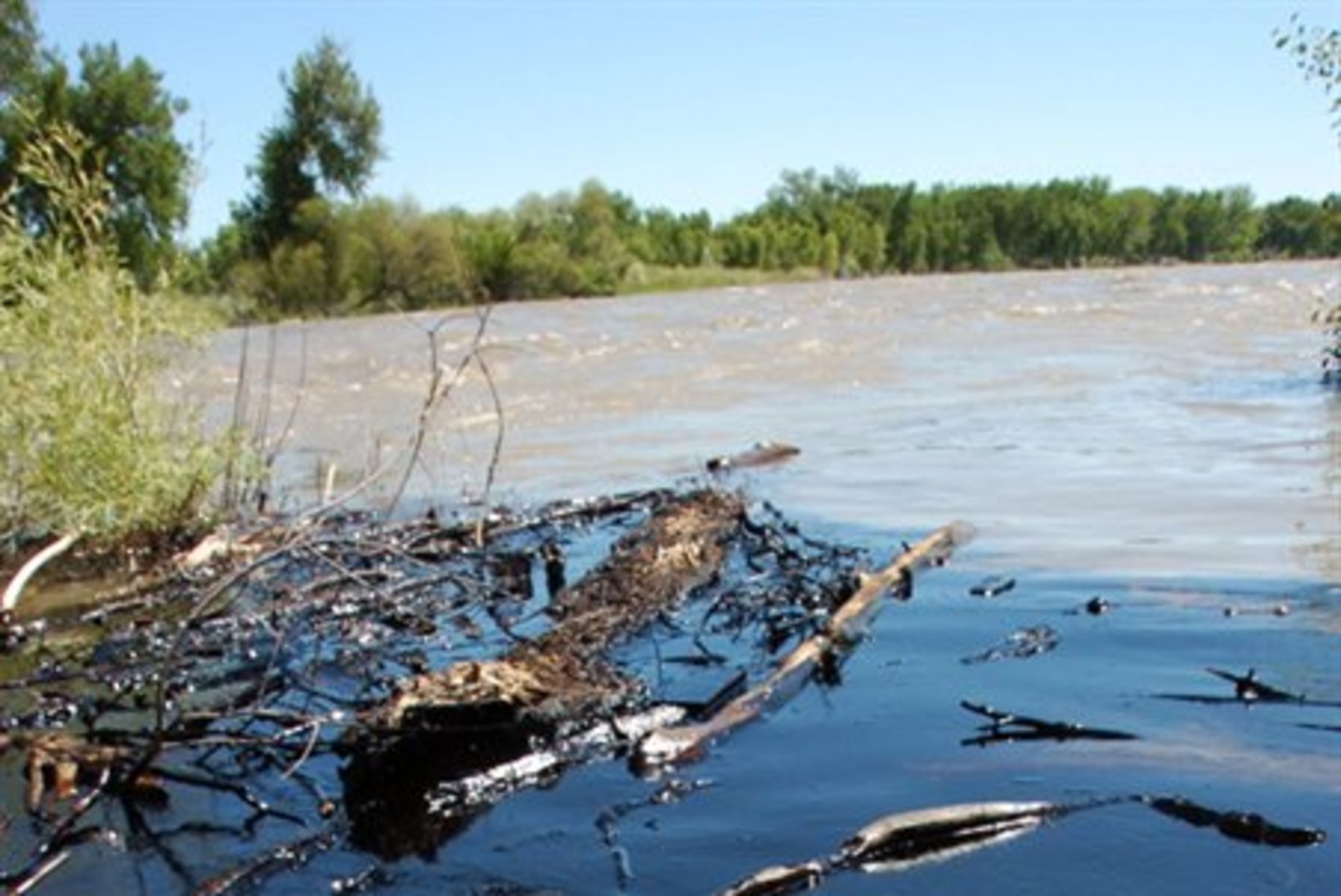 Yellowstone'i jõgi reostus naftatoru lõhkemise tagajärjel