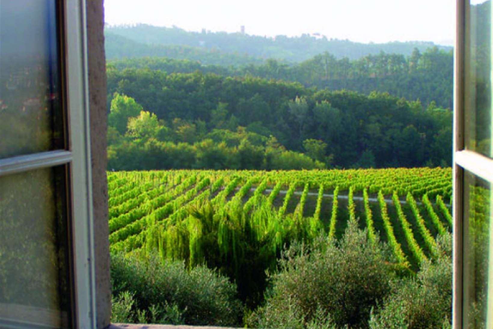 Piemonte - veinid mäe jalamilt