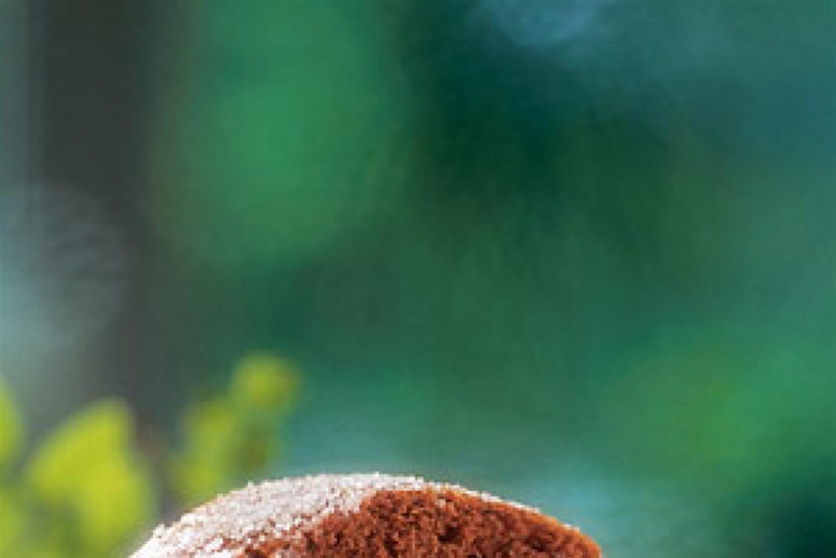 Rukki-kakaorull pohladega