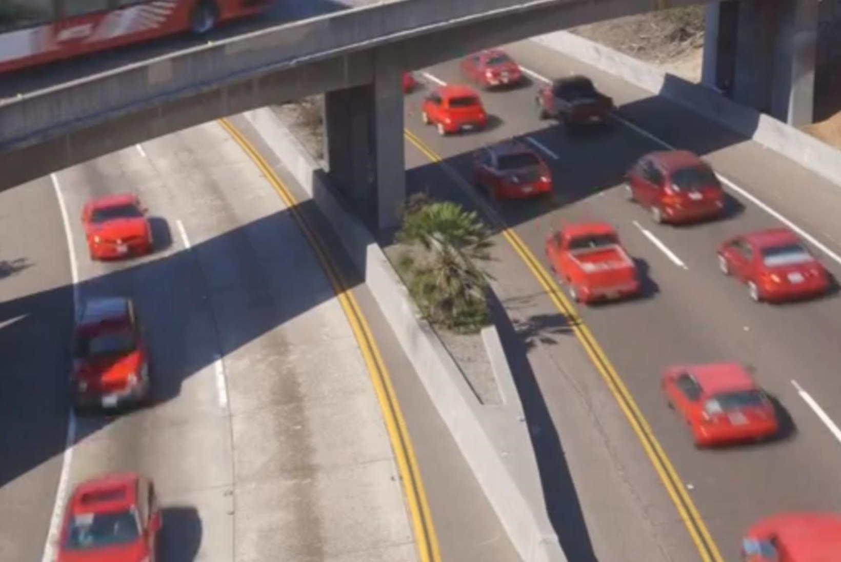 VIDEO: kas autod sõidavad tõesti värvi järgi?
