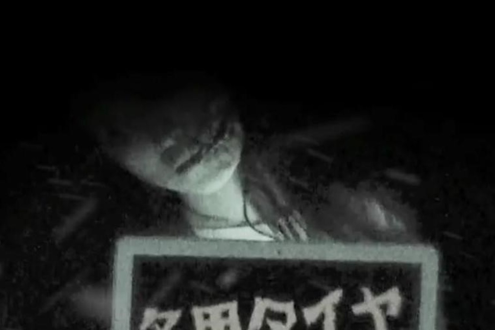 VIDEO: Jaapanis reklaamib talverehve kummitus!