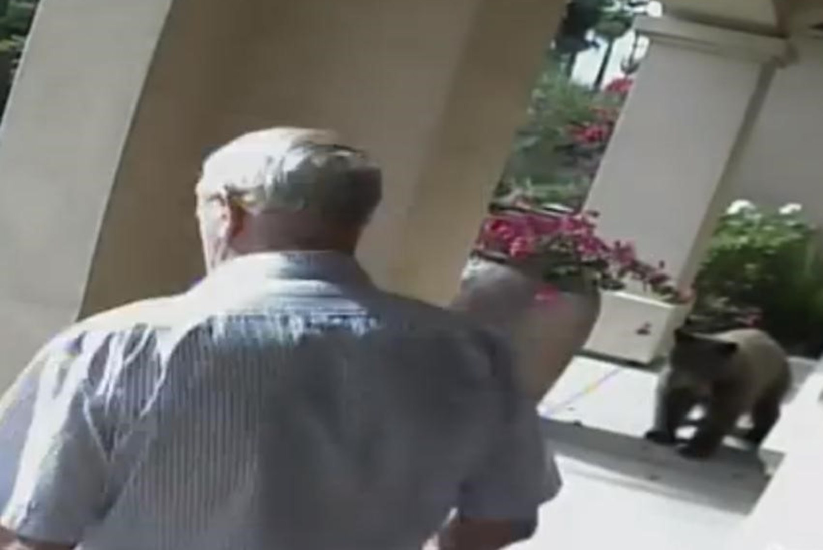 VIDEO: vanapaar ei märganud oma trepil jalutanud karu