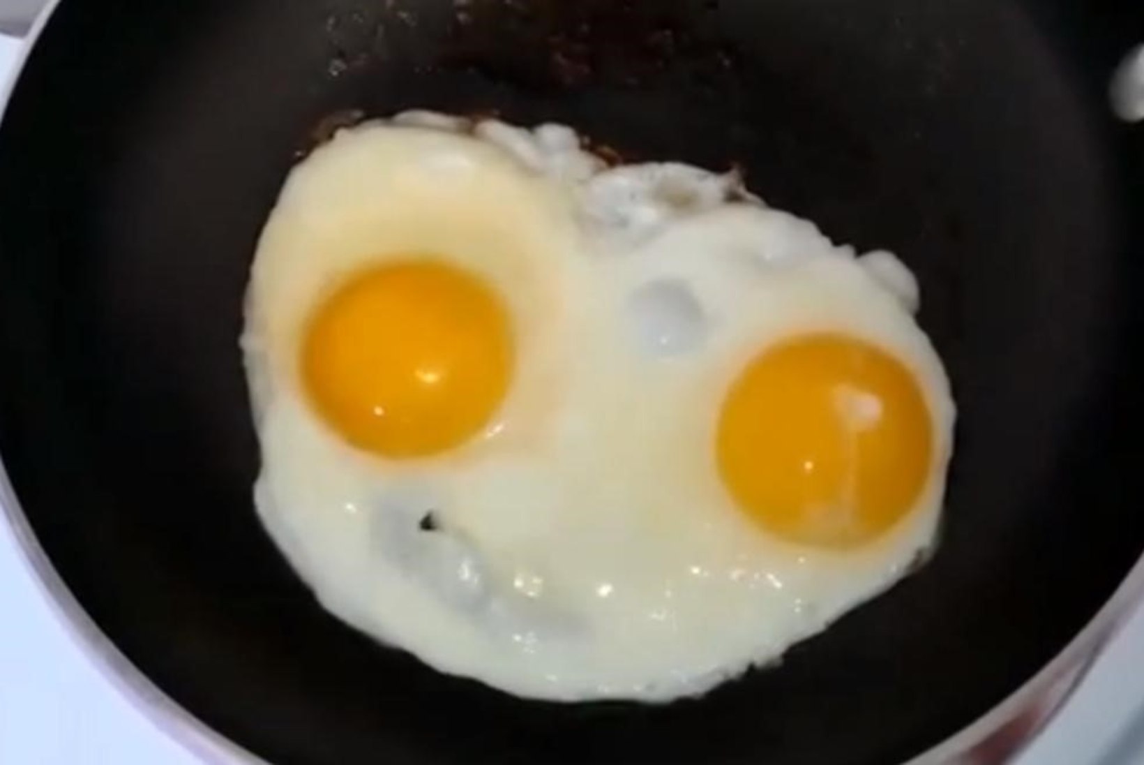 VIDEO: munad hakkasid pannil räppima!