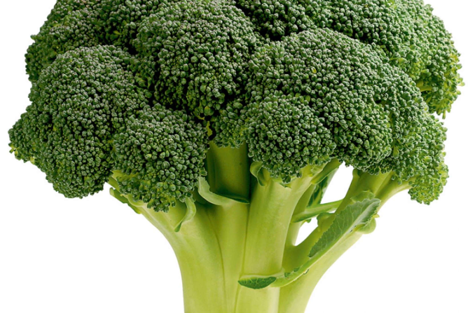 Proovi brokolit