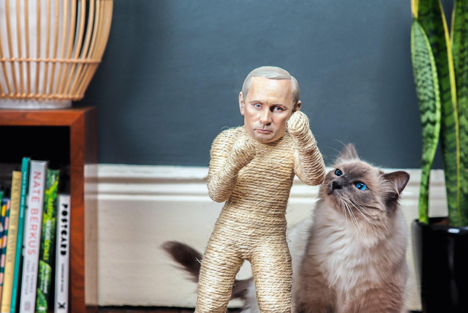 FOTOD: Putinist sai kasside kraapimispuu