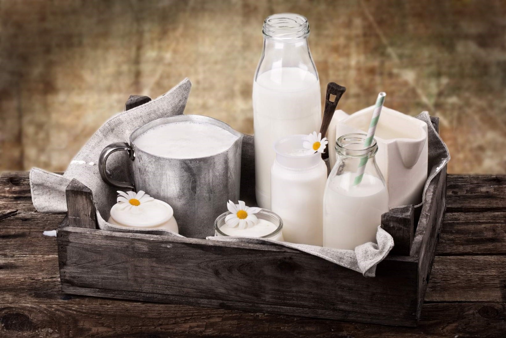 Eurooplased tarbisid piimatooteid vaatamata laktoositalumatusele tuhandeid aastaid