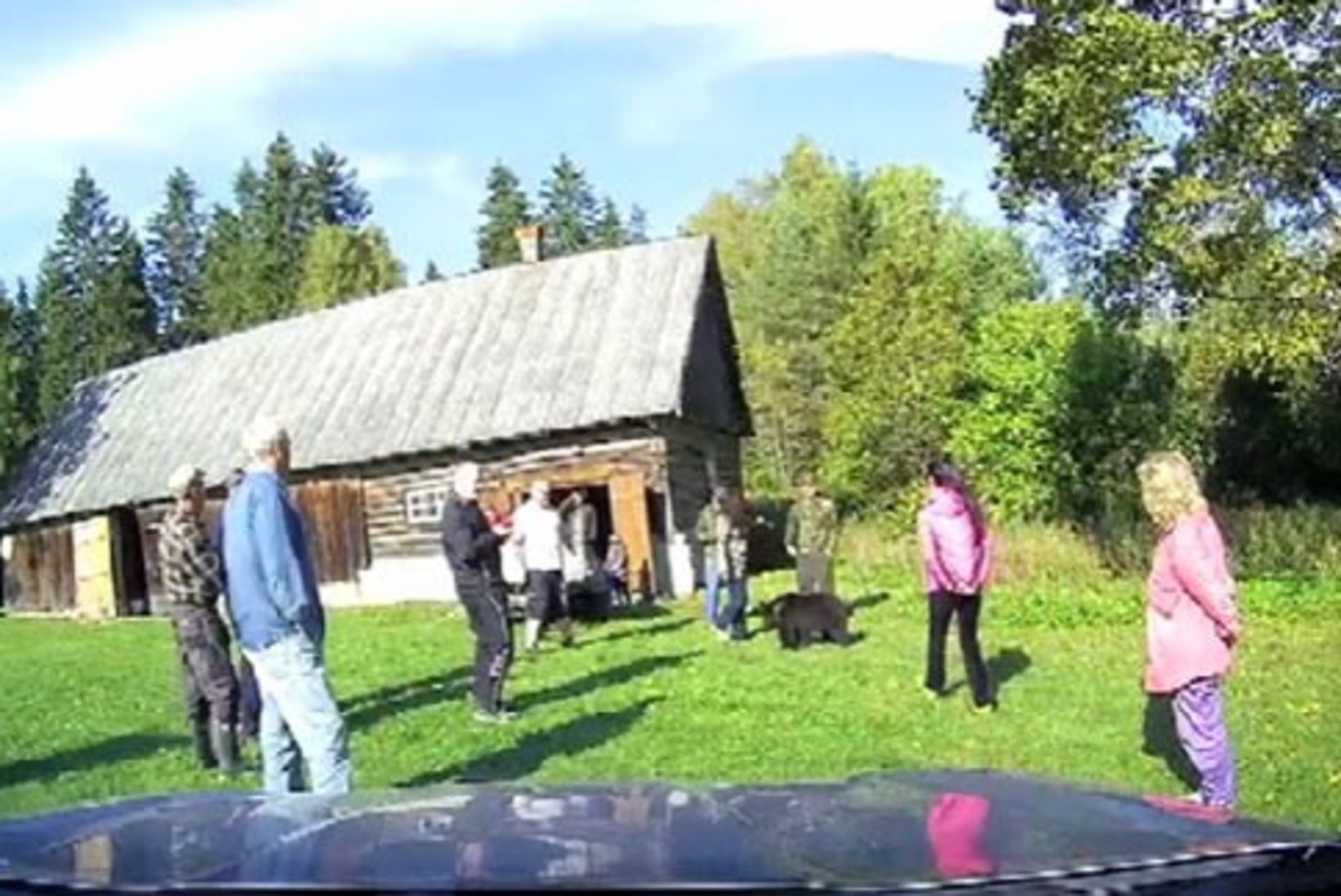 VIDEO: Taluõuel tatsanud karupoeg nautis inimeste seltsi