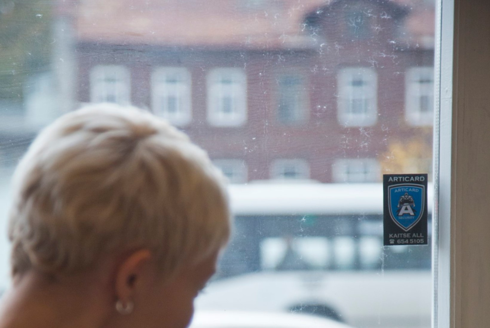 TV3 VIDEO: Tallinnas avatud kassikohvik on osutunud väga populaarseks 