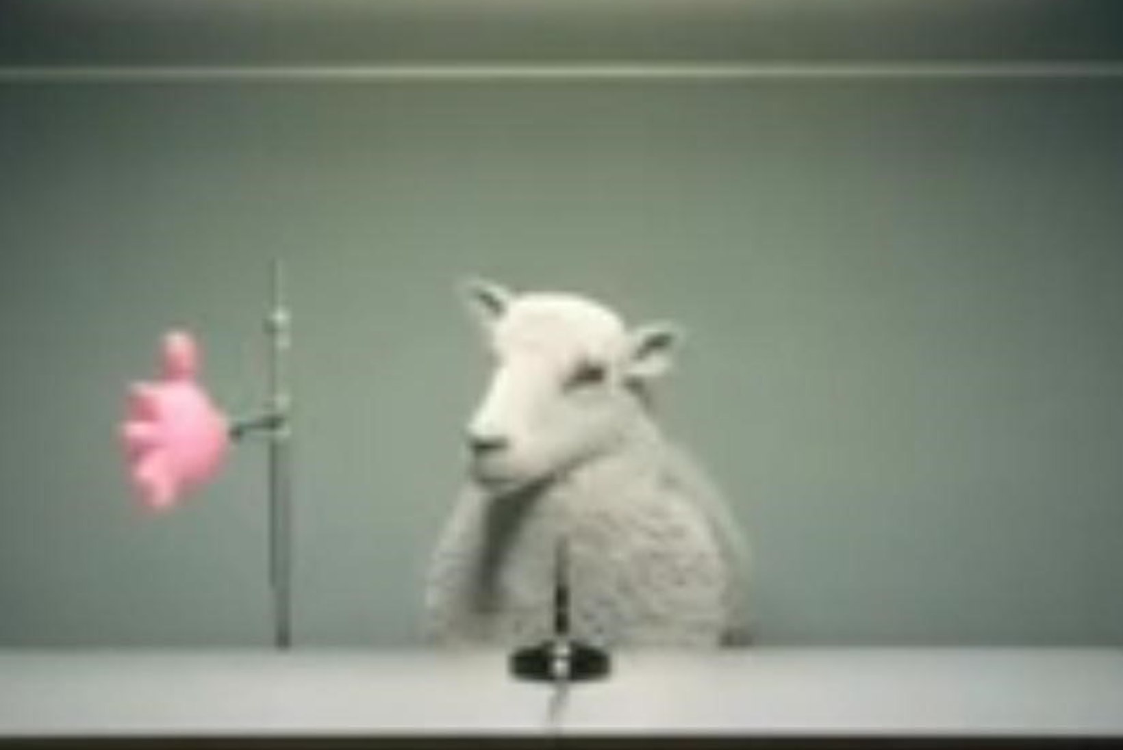 Vaata! Šveitslaseid teavitas häiresignaalide testimisest lammas!