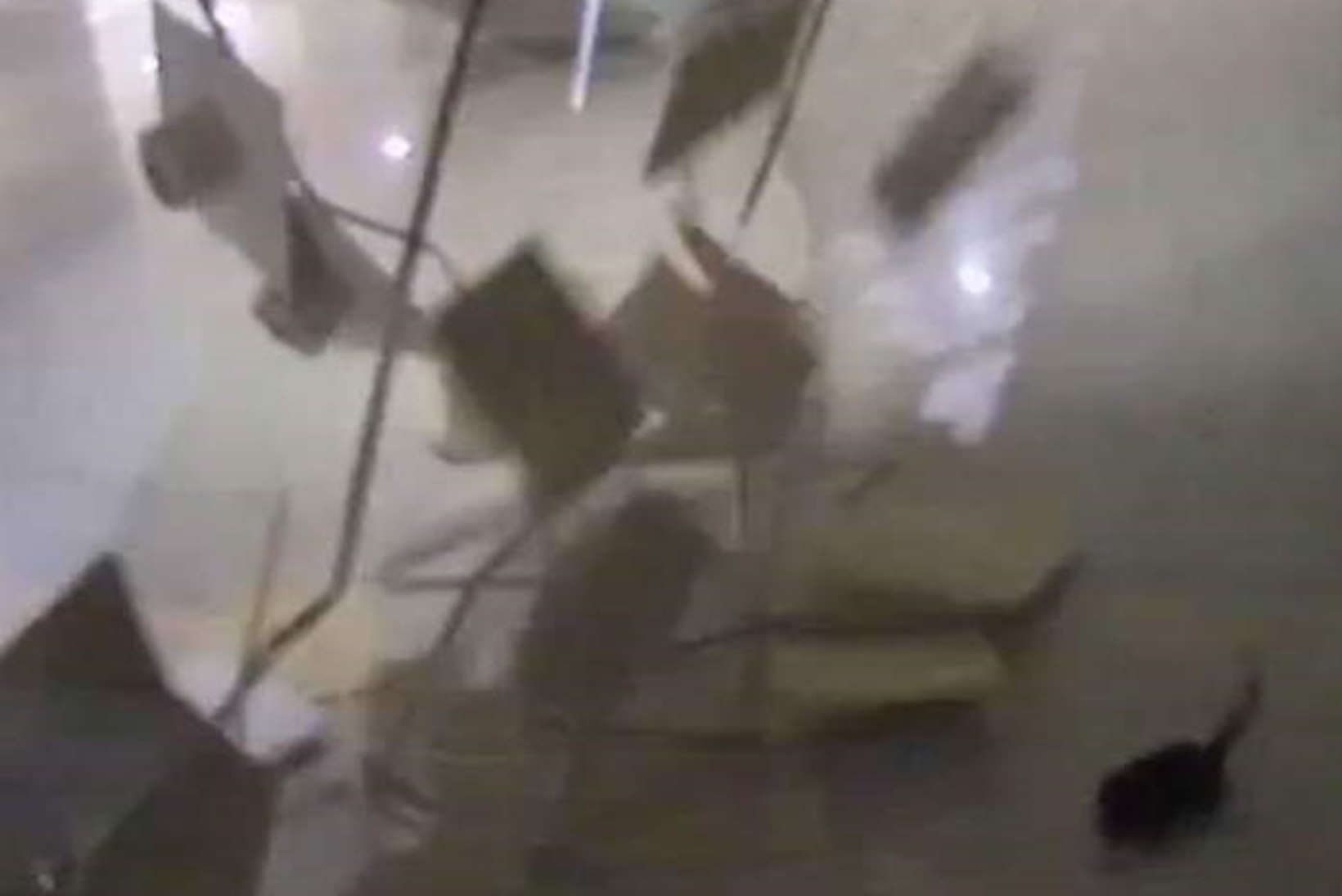 VIDEO: kass kukkus läbi Adleri uisukeskuse lae