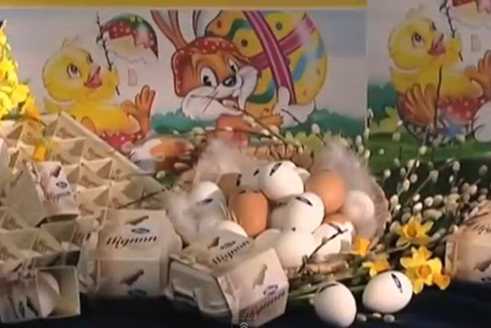 VIDEO: vaata, kuidas pannakse šokolaad munakoore sisse