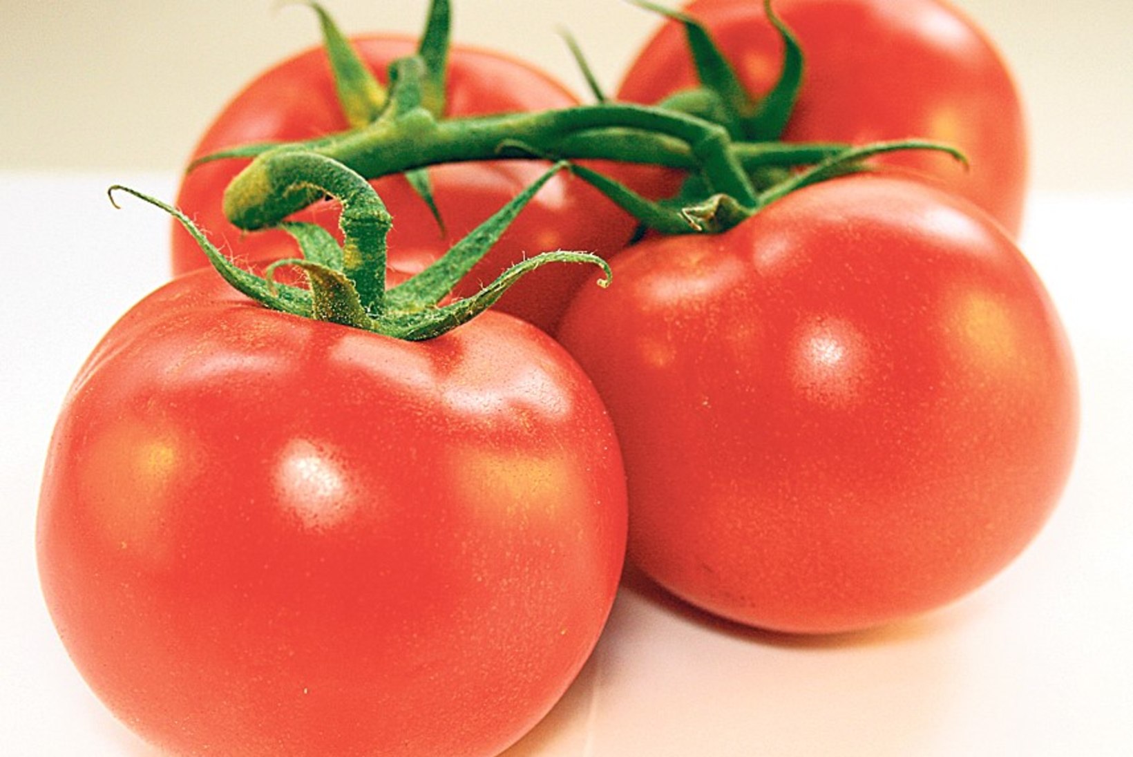 Tomati koht pole külmkapis – ja teisi tomatitarkusi