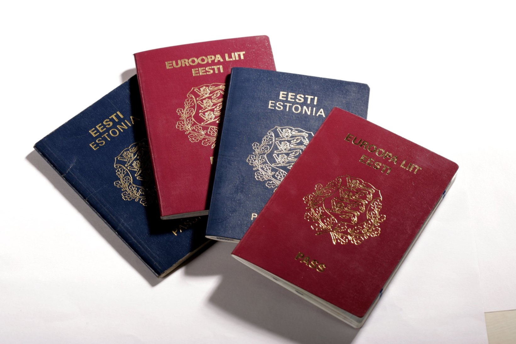 4 moodust, kuidas passi turvaliselt hoida